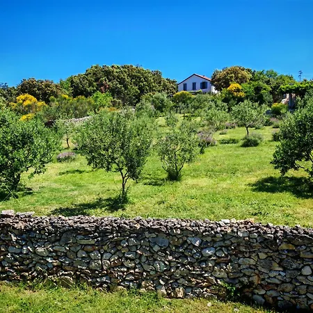 Island Cres Beautiful Views Appartamento